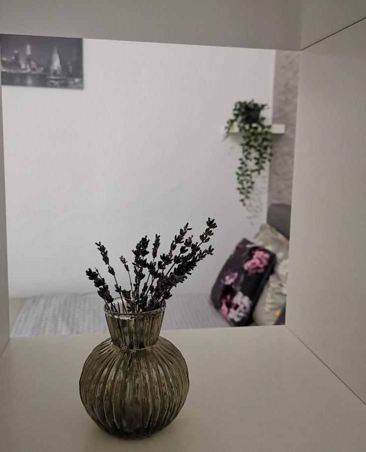 Apartmán Sunset Bukurešť Exteriér fotografie
